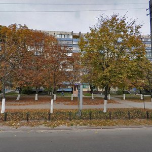 Vulytsia Kyivskyi Shliakh, 39, : foto