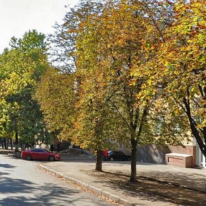 Николаев, Московская улица, 3: фото