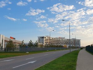 Москва и Московская область, Территория Парк Патриот, 4: фото