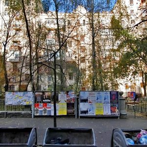 Zankovetskoi Street, 8, Kyiv: photo