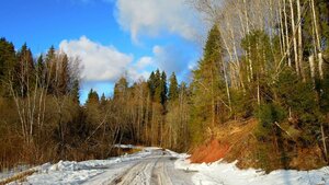 Derevnya Melegezhskaya Gorka, 16, Saint‑Petersburg and Leningrad Oblast: photo