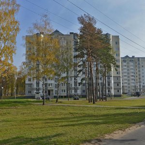 Gierojaw 120th Dyvizii Street, 27, Minsk: photo