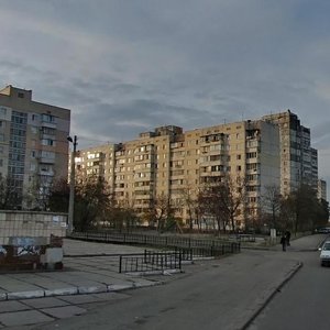 Pryrichna Street, 29, Kyiv: photo