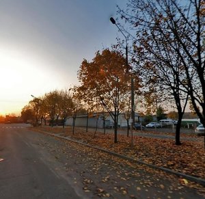 Revutskoho Street, 1, : foto
