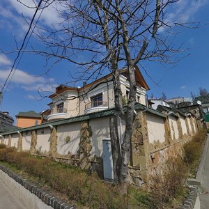 Mykoly Raievskoho Street, No:6, Kiev: Fotoğraflar