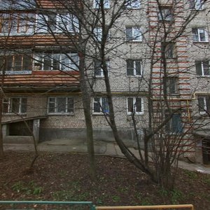 Melnikova-Pecherskogo Street, 8, : foto