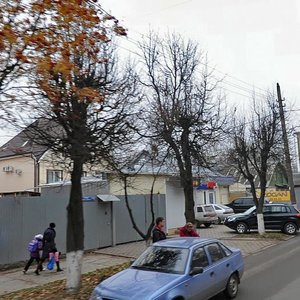 Boldina Street, 137, Tula: photo