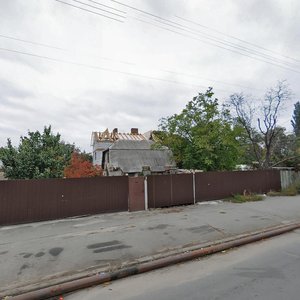 Bilytska Street, 72, Kyiv: photo