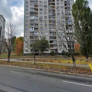 Holosiivska Street, 6, Kyiv: photo