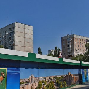 Volonterska street, 66, Kharkiv: photo