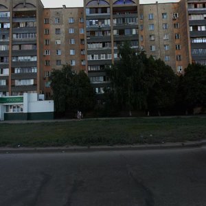 Aerodromnaya Street, 127, Samara: photo