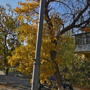 Krasnopresnenskaya ulitsa, 20, Volgograd: photo