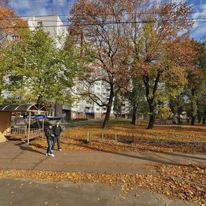 Чернигов, Улица Шевченко, 32: фото