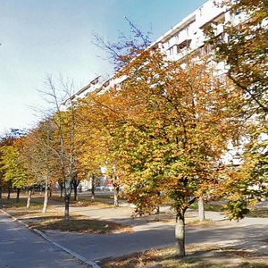 Akademika Kurchatova Street, 23, Kyiv: photo