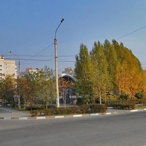 Novokuznetska vulytsia, 40А, Zaporizhia: photo