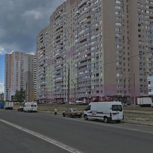 Mykoly Zakrevskoho Street, 95А, Kyiv: photo