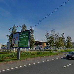 Shkolnaya Street, 98, Saint Petersburg: photo