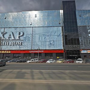 Novo-Sadovaya Street, 106, Samara: photo