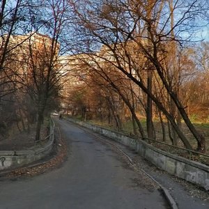 Киев, Улица Василия Тютюнника, 5Б: фото