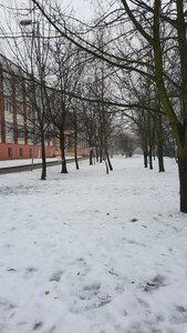 Nikolaya Karamzina Street, 6, Kaliningrad: photo