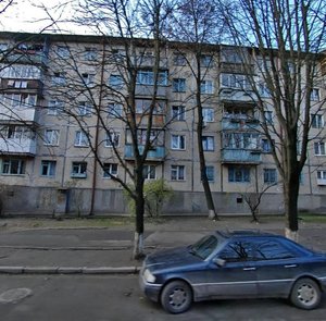 Mykoly Vasylenka Street, 14, Kyiv: photo