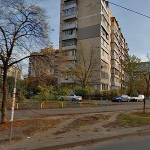Heroiv Stalinhrada Avenue, 52, Kyiv: photo