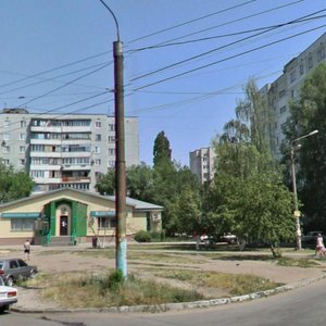 Vladimira Nevskogo Street, 24А, Voronezh: photo