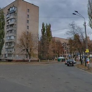 Petra Kurinnoho Street, 2, Kyiv: photo