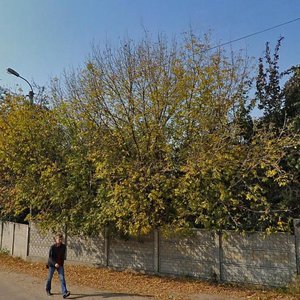 Vulytsia Oleksandra Molodchoho, 29, Chernihiv: photo