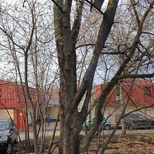 Vodnikov Street, 2с15, : foto