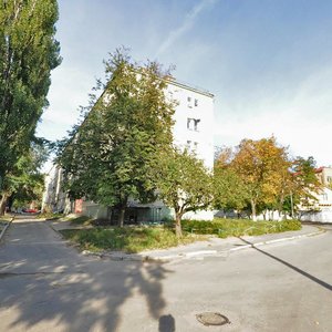 Zhambyla Zhambaieva Street, 2/6, Kyiv: photo