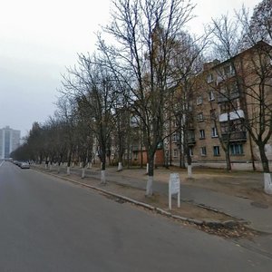 Heroiv Sevastopolia Street, 7, Kyiv: photo