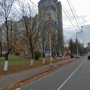 Yakuba Kolasa Street, 2 ، كييف: صورة