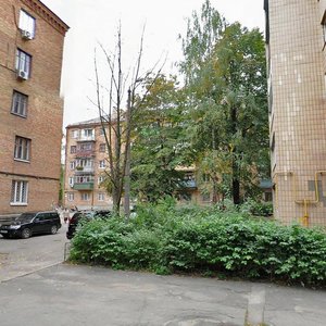 Simi Idzykovskykh Street, 39А, Kyiv: photo