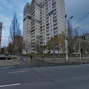 Svobody Avenue, 4А, Kyiv: photo