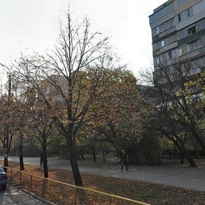 Yevropeiska vulytsia, No:14, Zaporoje: Fotoğraflar