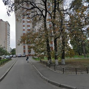 Chornobylska Street, 2, Kyiv: photo