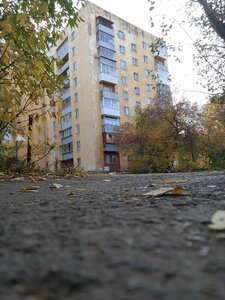 Starykh Bolshevikov Street, 82/1, Yekaterinburg: photo