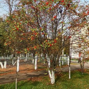 Evgeniya Nikonova Street, 11, Nizhny Novgorod: photo