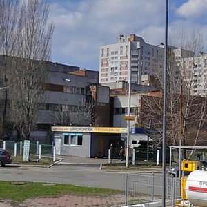 Lesia Kurbasa Avenue, 2А, Kyiv: photo