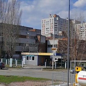 Lesia Kurbasa Avenue, 2А, Kyiv: photo