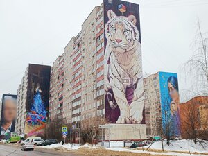 Novaya Street, 11, Balashiha: photo
