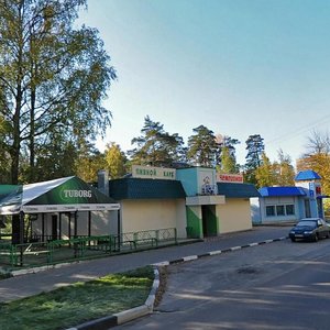 Bogolubova Avenue, 5, Dubna: photo