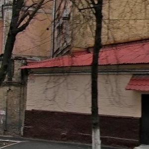 Bulvarno-Kudriavska Street, 18, Kyiv: photo