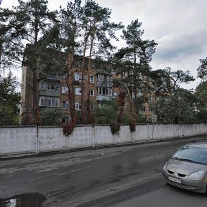 Svitla Street, 6, Kyiv: photo