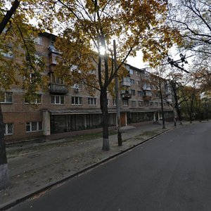 Maksyma Berlinskoho Street, 4 ، كييف: صورة