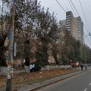 Vidradnyi Avenue, 51, Kyiv: photo