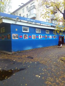 Ulitsa Spirina, 14к1, Krasnoye Selo: photo