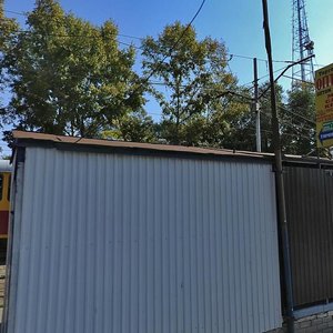 Narimanova Avenue, 66/1 ، أوليانوفسك: صورة