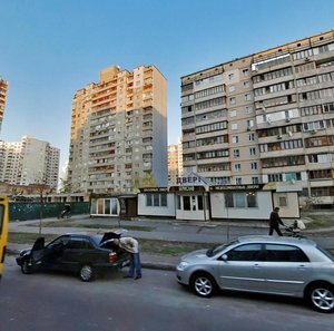 Larysy Rudenko Street, 7А, Kyiv: photo